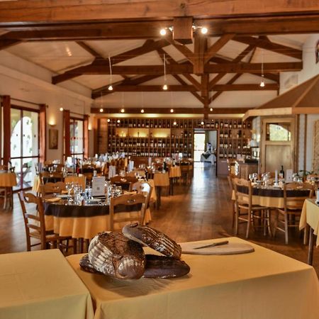 Logis Hotel Restaurant Solenca Nogaro Dış mekan fotoğraf