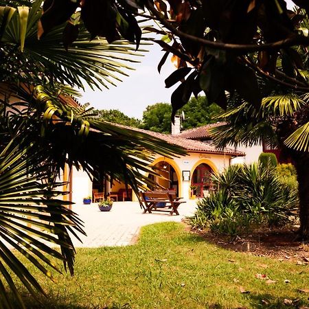 Logis Hotel Restaurant Solenca Nogaro Dış mekan fotoğraf